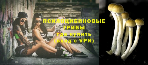 гидропоника Алзамай