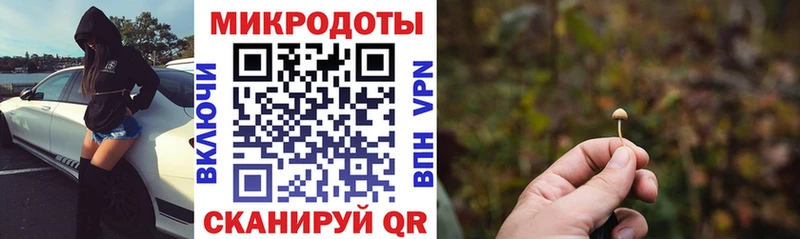 Галлюциногенные грибы Psilocybine cubensis  Сельцо 